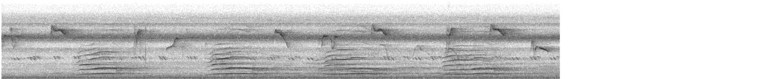 Indian Peafowl - ML646247737