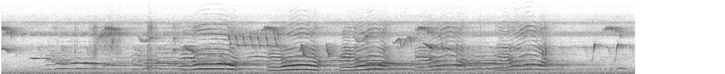 Indian Peafowl - ML646247738