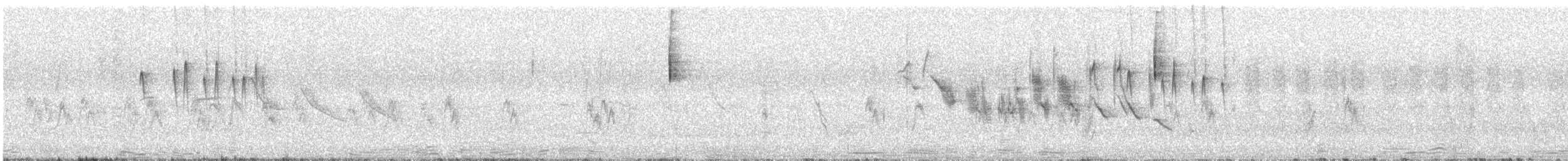 Зерноїд мальований - ML646247843