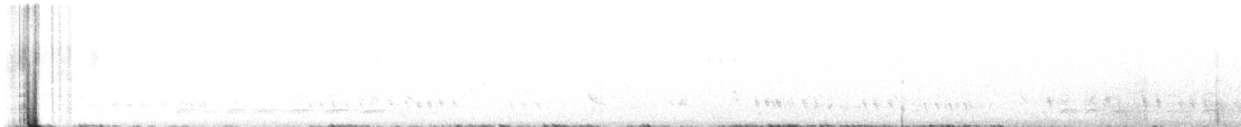 Western Gray Squirrel - ML646248990