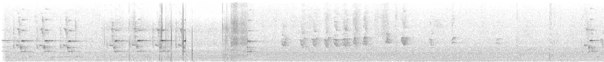 Geai de Steller - ML646249503