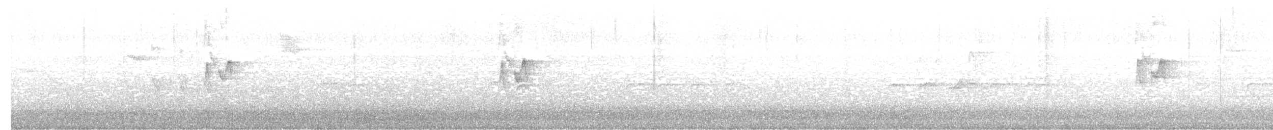 Тусклая пеночка - ML646249770