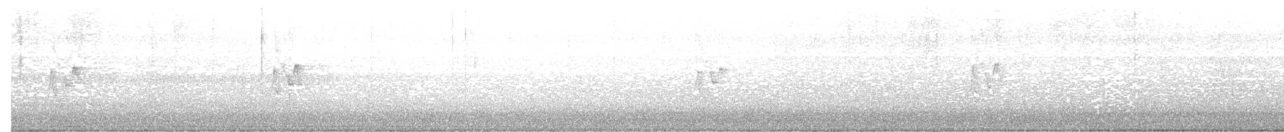 Тусклая пеночка - ML646249788