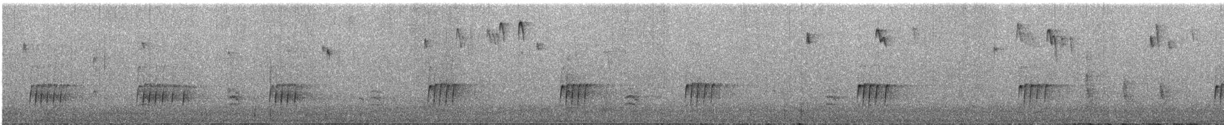 Каролинский крапивник - ML646249790