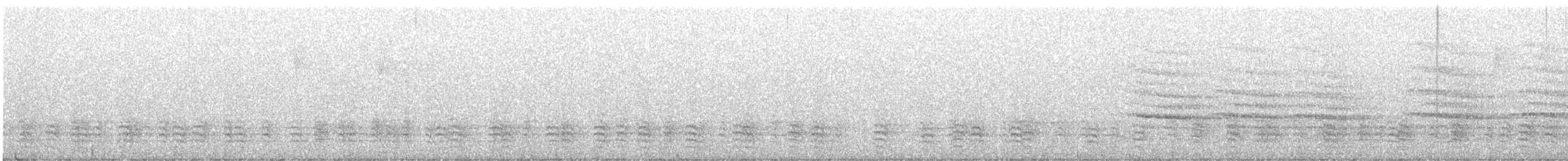 White-breasted Nuthatch - ML646249964