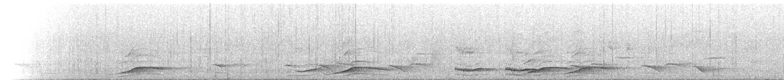 Weißbürzel-Krähenstar - ML646250073