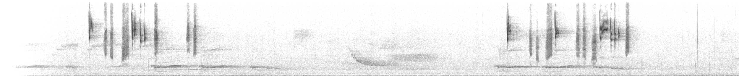 White-browed Scrubwren - ML646250084