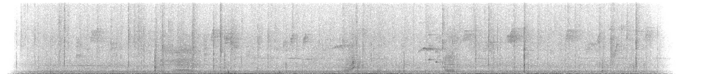 Satin Bowerbird - ML646250114