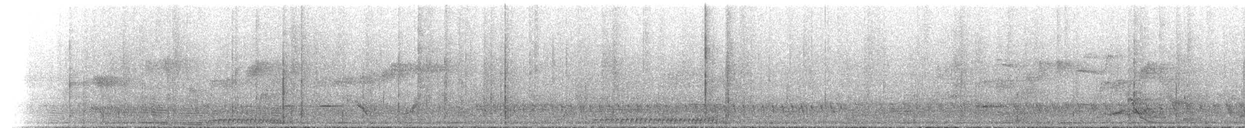 Satin Bowerbird - ML646250116