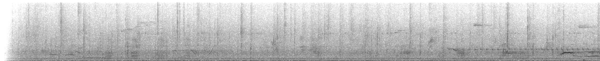 Satin Bowerbird - ML646250118