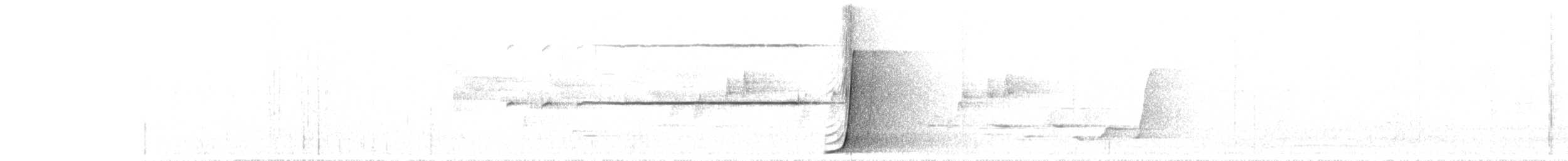 Eastern Whipbird - ML646250147