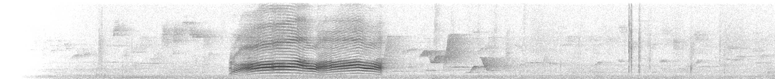 Green Catbird - ML646250160