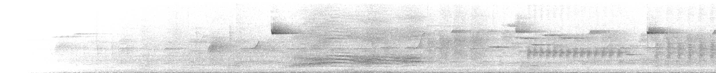 Green Catbird - ML646250191