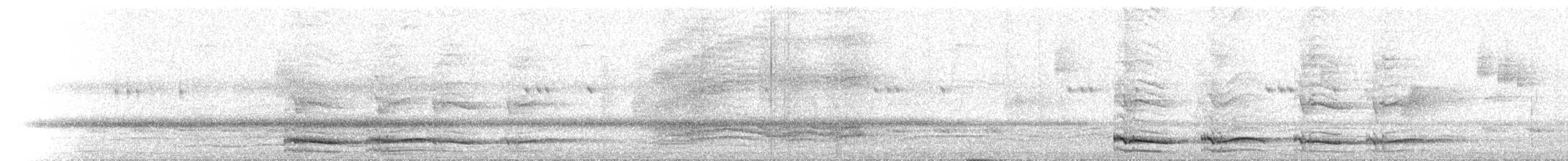 Pied Currawong - ML646250194