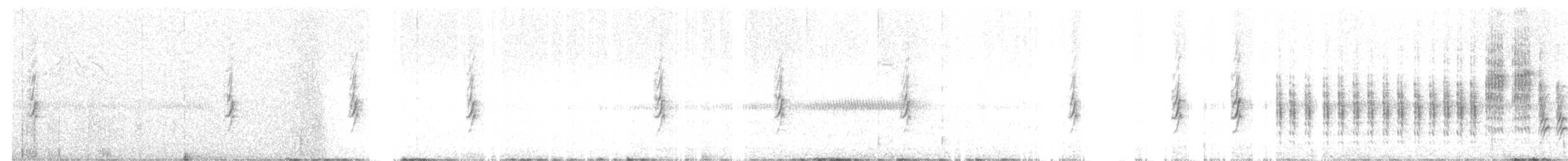 Sedge Warbler - ML646250345