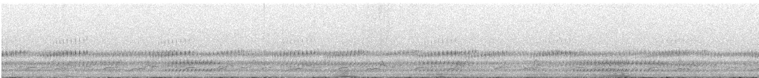 Eastern Whip-poor-will - ML646250383