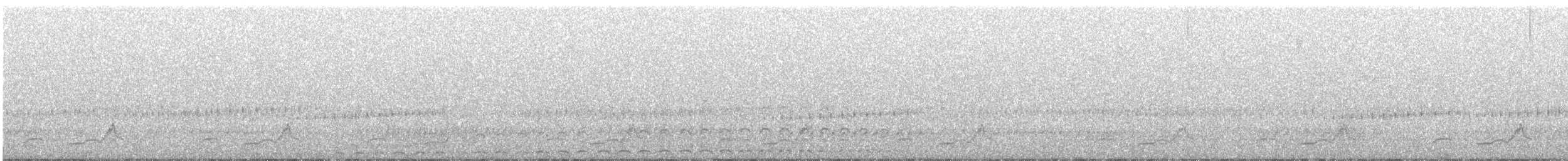 Eastern Whip-poor-will - ML646250667