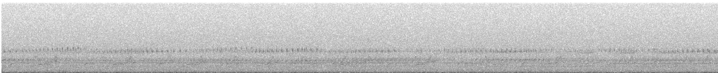 Eastern Whip-poor-will - ML646250668