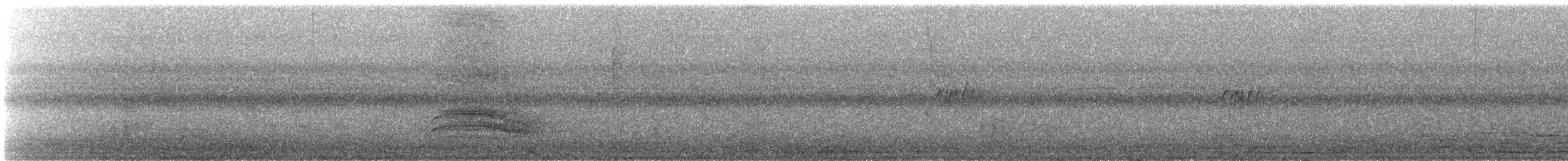 サンショウクイ - ML646250720