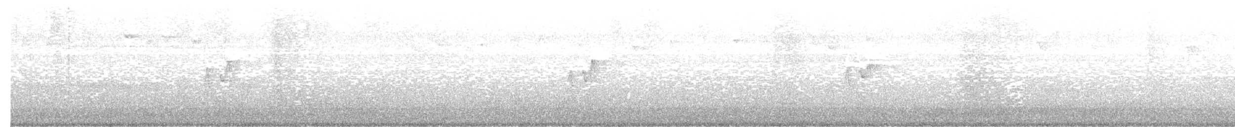 Тусклая пеночка - ML646250776