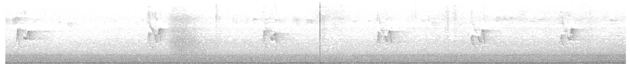 バフマユムシクイ - ML646250805