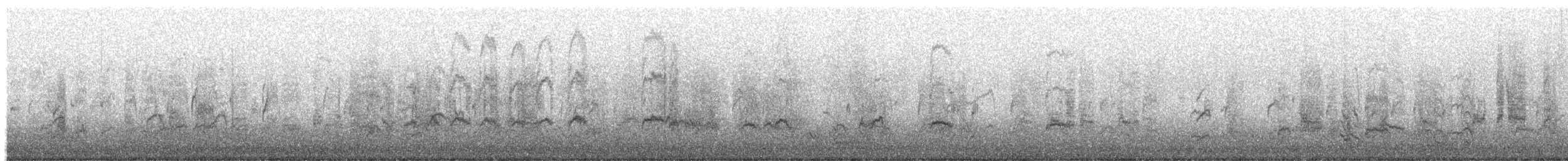 Dunlin - ML646252504