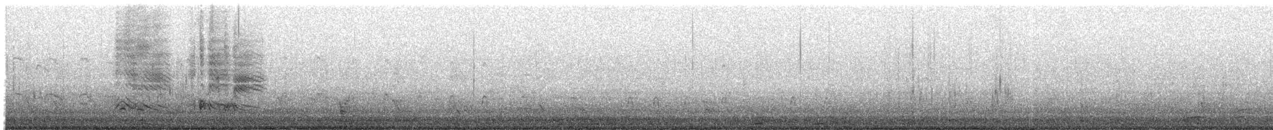 Red-breasted Merganser - ML646252518