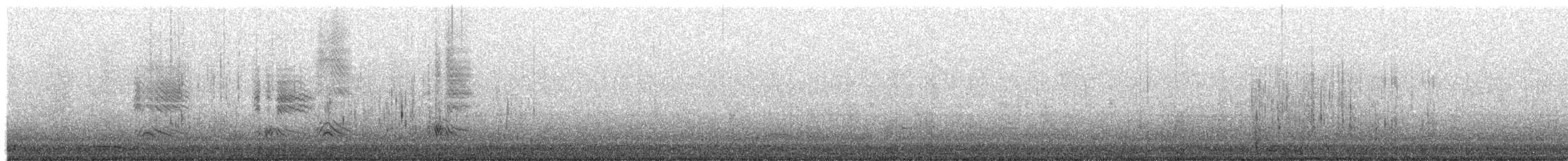 Red-breasted Merganser - ML646252524