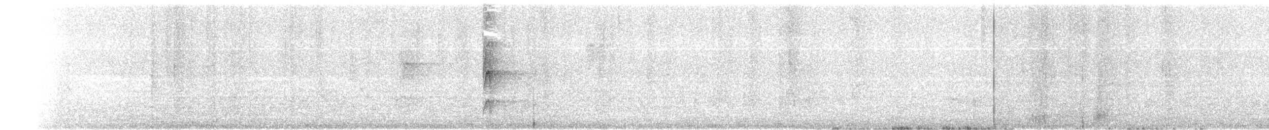 Platyrhynque à moustaches - ML646252829