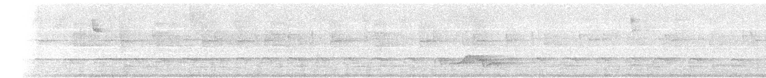 Prachtadler - ML646252846