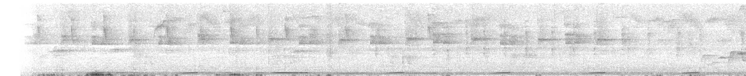 Mondetourtäubchen - ML646252855