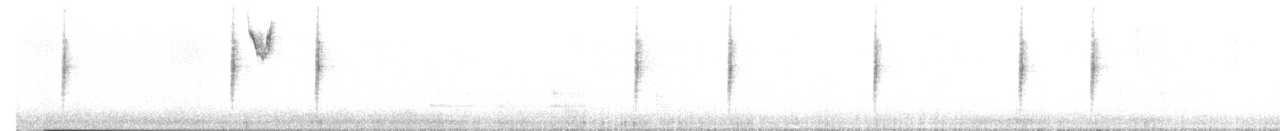 Bewick's Wren - ML646253166