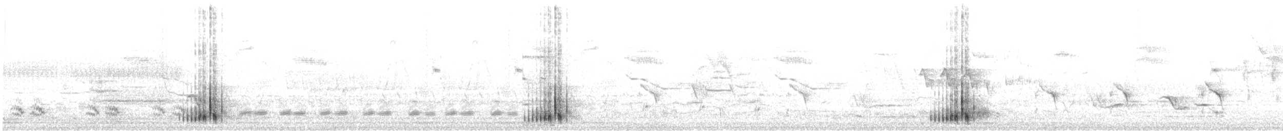 kukačka černozobá - ML646253316