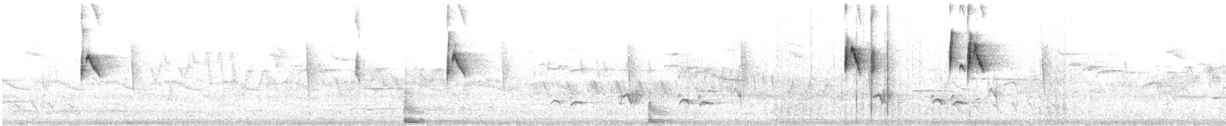 østkongetyrann - ML646253376