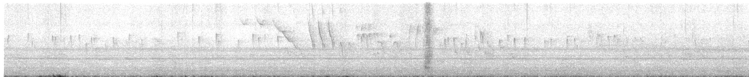 Vencejo de Tormenta - ML646254813