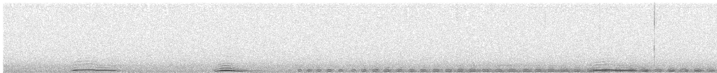 Búho Real - ML646254814