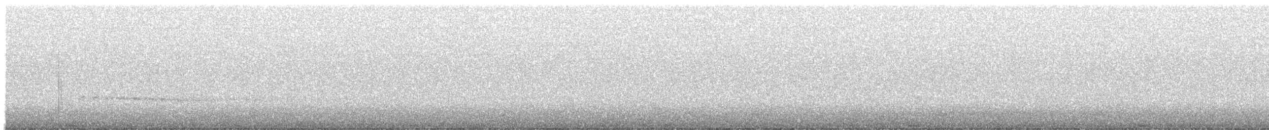 Eurasian Whimbrel (European) - ML646255312