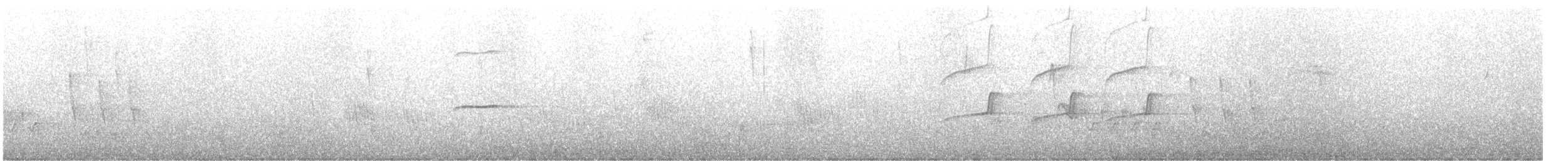 Southern House Wren - ML646255600