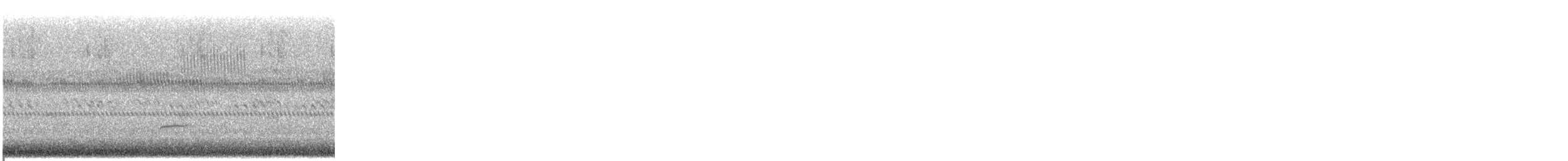 Swainson's Thrush - ML646255797