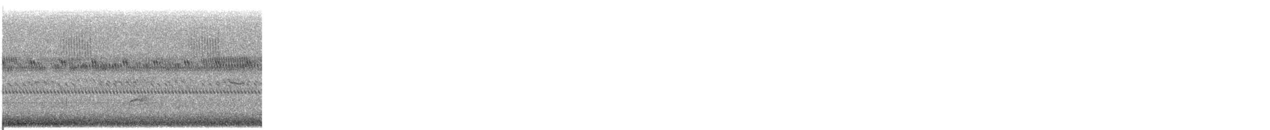 Swainson's Thrush - ML646255799