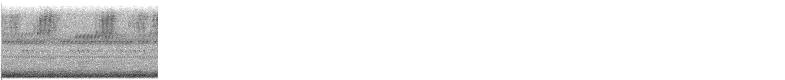 Swainson's Thrush - ML646255801