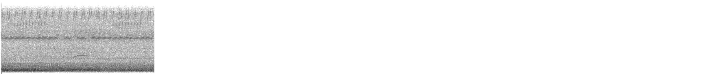 Swainson's Thrush - ML646255803