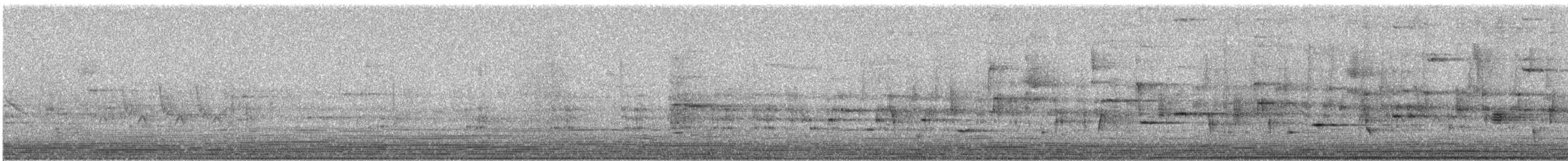 Brown-backed Solitaire - ML646255882