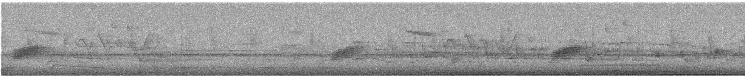 Spotted Towhee - ML646255889