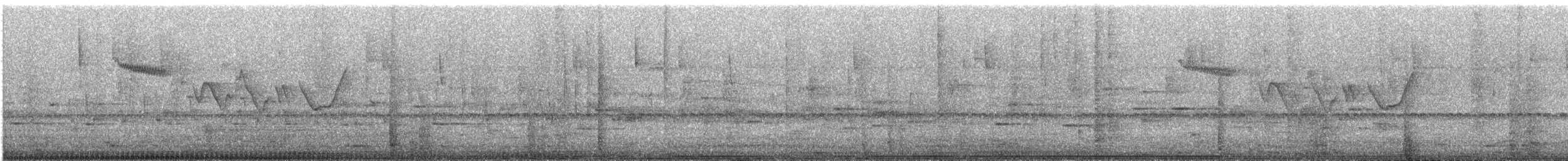 Brown Creeper - ML646255892