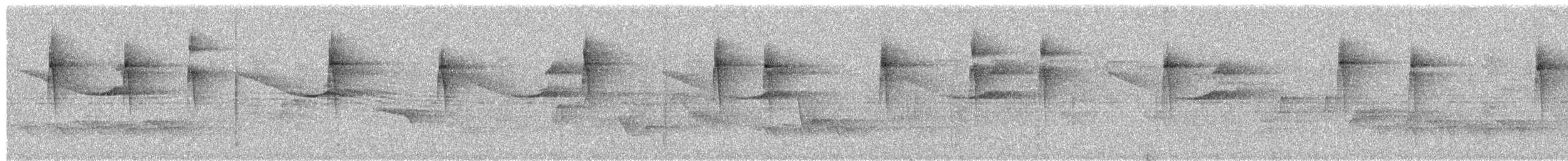 White-browed Foliage-gleaner - ML646256236