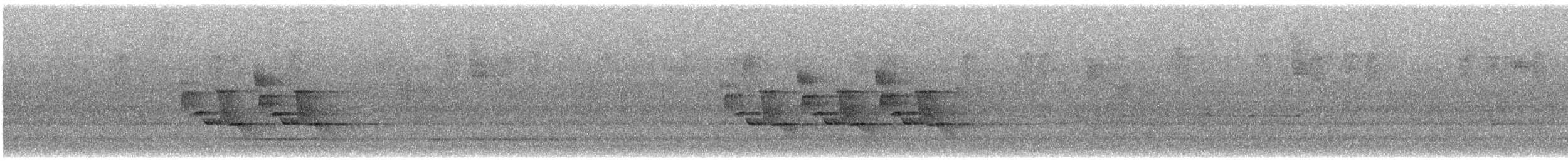 Cucarachero de Carolina - ML646256237