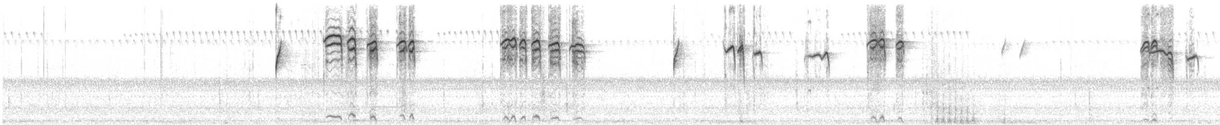 Northern Cardinal - ML646256707