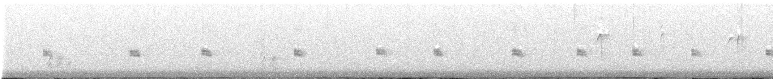 Canyon Wren - ML646256897