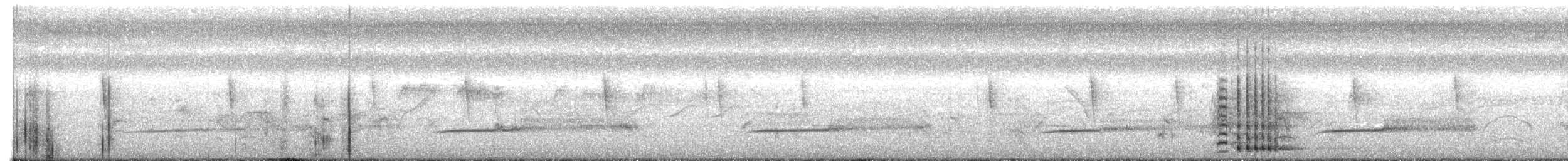 Sandhill Crane - ML646257261